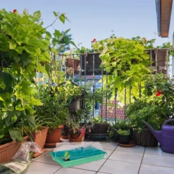 Relaxdays Kweekbak Binnen - Mini Kweekkas Met Deksel - Voor Zaailingen - Vensterbank Groen -Aanbiedingen Bloeiruimte Winkel 1200x1200 87