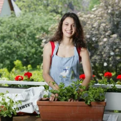 Relaxdays Kweekbak Binnen - Mini Kweekkas Met Deksel - Voor Zaailingen - Vensterbank Groen -Aanbiedingen Bloeiruimte Winkel 1200x1200 89