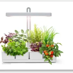 LEDVANCE 4058075576131 -Aanbiedingen Bloeiruimte Winkel 1200x362