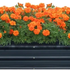 Moestuinbak Nijmegen Staal 240x47x40 Cm Antracietgrijs -Aanbiedingen Bloeiruimte Winkel 1200x374