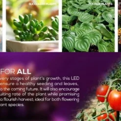 E27 LED Groeilamp Voor Kwekers - 5w Groeilamp - Kweeklamp - 5 Watt - E27 Fitting - Grow Light - Kweektunnel - Bloeilamp - UV Lamp - Groeilicht - Ontkiemen - Planten Groeien -Aanbiedingen Bloeiruimte Winkel 1200x660