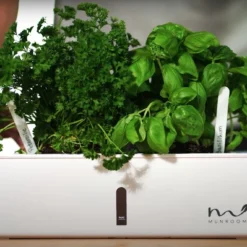 Kruidenpot Met Bewateringssysteem - Wit - Kruidenbak - Kweekbak - Plantenbak