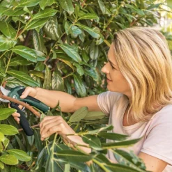 Bosch EasyPrune Accu Snoeischaar - 3.6 V Accu - USB 14 Bosch EasyPrune Accu Snoeischaar - 3.6 V Accu - USB -Aanbiedingen Bloeiruimte Winkel 1200x675 9