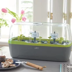 Kweekbak Propagator - Groeikas Vensterbank - Kweekkas - Kweekset - Zaaibak Binnen -Aanbiedingen Bloeiruimte Winkel 1200x750 1