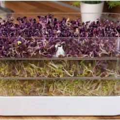 Buzzy® Organic Sprouting Tower 3 Laags -Aanbiedingen Bloeiruimte Winkel 1200x764