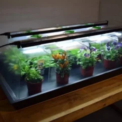 Propagator Geopod (Extra Large) Verwarmde Kweekbak Verwarmd Met Geïntegreerde Groeilampen En Thermostaat