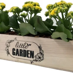 GARDEN SPIRIT Kruidenbak Op Pootjes Bloembak 34 X 9 X 10 Cm - Kweekbak -Aanbiedingen Bloeiruimte Winkel 1200x776