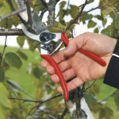 Felco 2 Snoeischaar - Rechtshandig - Max. Knipdiameter 25 Mm - Lengte 215 Mm -Aanbiedingen Bloeiruimte Winkel 1200x796 3