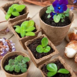 Nature 15x Biologisch Afbreekbare Stekpotjes / Kweekpot - 8.5 X 8 X 8 Cm - Moestuin - Turfpotjes -Aanbiedingen Bloeiruimte Winkel 1200x798