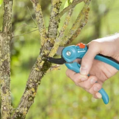 GARDENA Classic Aambeeld Snoeischaar - Ø 18 Mm -Aanbiedingen Bloeiruimte Winkel 1200x799 15