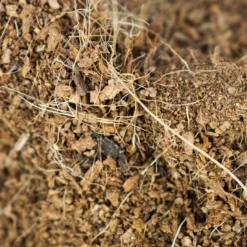 SYBASoil Kokosvezel 3L - Zoutvrij - Perfect Voor Stekken & Zaaien -Aanbiedingen Bloeiruimte Winkel 1200x799 4