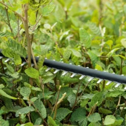 Bosch UniversalHedgeCut 18-50 Heggenschaar - Met 18 V Accu En Lader -Aanbiedingen Bloeiruimte Winkel 1200x800 138