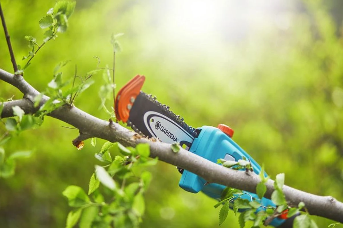 GARDENA - Accu Telescopische Snoeizaag - TCS 20/18 P4A Solo 2 GARDENA - Accu Telescopische Snoeizaag - TCS 20/18 P4A Solo - Afbeelding 2