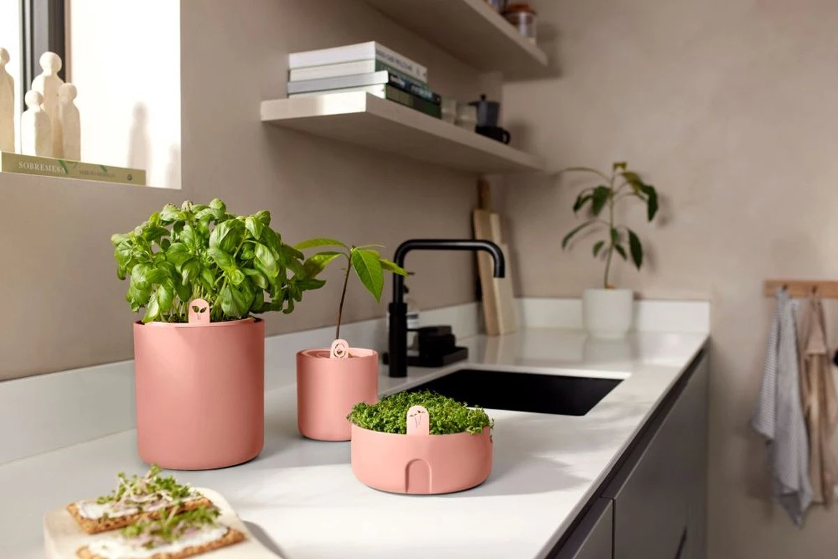 Elho Amazing Avocado Pot 12 - Kweekpot Voor Binnen - Moestuinbak Van 100% Gerecycled Plastic - Ø 12.0 X H 12.1 Cm - Bruin/Toffee Terra 5 Elho Amazing Avocado Pot 12 - Kweekpot Voor Binnen - Moestuinbak Van 100% Gerecycled Plastic - Ø 12.0 X H 12.1 Cm - Bruin/Toffee Terra - Afbeelding 5