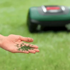 Bosch Indego S+ 500 Robotmaaier - Voor Gazons Tot 500 M2 - Incl. Laadstation En Accessoires - Connected -Aanbiedingen Bloeiruimte Winkel 1200x800 218