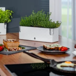 Cobble Trio - Design Kruidenpot Met Bewateringssysteem - Kristalwit - Kruidenbak - Kweekbak - Plantenbak 8 Cobble Trio - Design Kruidenpot Met Bewateringssysteem - Kristalwit - Kruidenbak - Kweekbak - Plantenbak -Aanbiedingen Bloeiruimte Winkel 1200x800 22