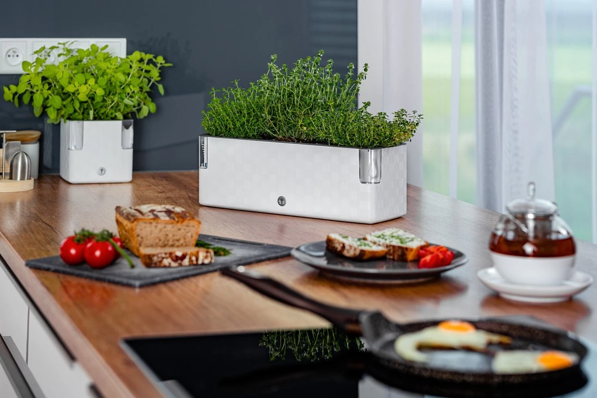 Cobble Trio - Design Kruidenpot Met Bewateringssysteem - Kristalwit - Kruidenbak - Kweekbak - Plantenbak 3 Cobble Trio - Design Kruidenpot Met Bewateringssysteem - Kristalwit - Kruidenbak - Kweekbak - Plantenbak - Afbeelding 3