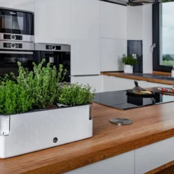 Cobble Trio - Design Kruidenpot Met Bewateringssysteem - Kristalwit - Kruidenbak - Kweekbak - Plantenbak 11 Cobble Trio - Design Kruidenpot Met Bewateringssysteem - Kristalwit - Kruidenbak - Kweekbak - Plantenbak -Aanbiedingen Bloeiruimte Winkel 1200x800 23