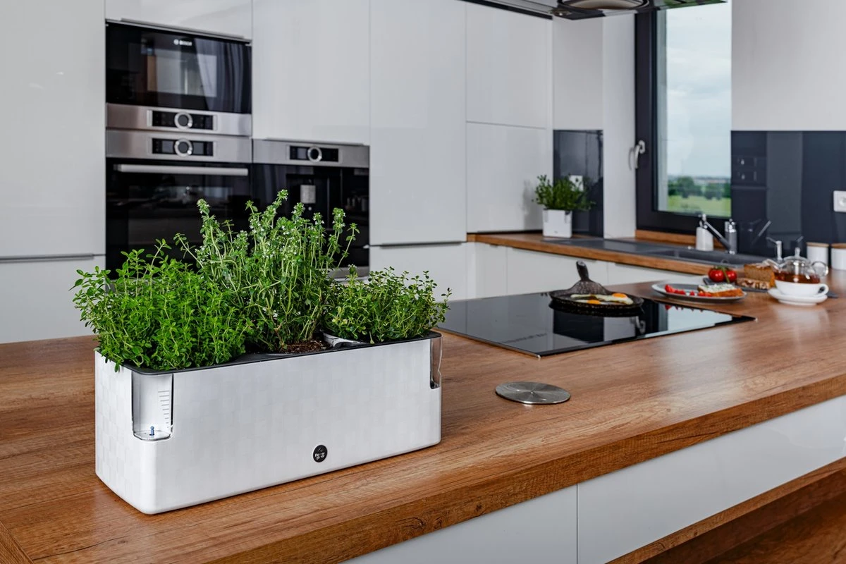 Cobble Trio - Design Kruidenpot Met Bewateringssysteem - Kristalwit - Kruidenbak - Kweekbak - Plantenbak 6 Cobble Trio - Design Kruidenpot Met Bewateringssysteem - Kristalwit - Kruidenbak - Kweekbak - Plantenbak - Afbeelding 6