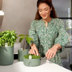 Elho Amazing Avocado Pot 12 - Kweekpot Voor Binnen - Moestuinbak Van 100% Gerecycled Plastic - Ø 12.0 X H 12.1 Cm - Groen/Blad Groen -Aanbiedingen Bloeiruimte Winkel 1200x800 25