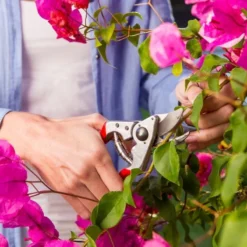 Felco 14 Snoeischaar | Ergonomisch | Voor Kleine Handen -Aanbiedingen Bloeiruimte Winkel 1200x800 53