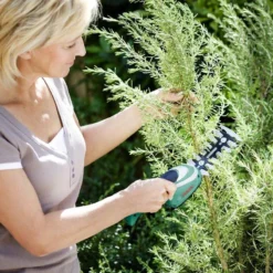 Bosch ISIO Gen III Accu Buxusschaar + Grasschaar -Aanbiedingen Bloeiruimte Winkel 1200x800 72