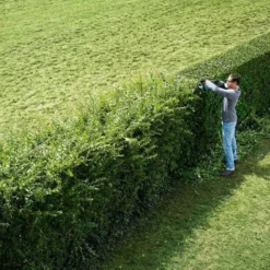 Bosch AHS 50-20 Accu Heggenschaar - Met 1 X 18 V Accu En Lader -Aanbiedingen Bloeiruimte Winkel 1200x800 78