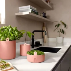 Elho Magic Microgreens 17 - Bloempot Voor Kiemgroenten - Ø 16.8 X H 7.1 Cm - Bruin/Toffee Terra -Aanbiedingen Bloeiruimte Winkel 1200x800 9