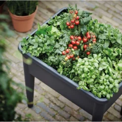 Elho Green Basics Kweektafel Super Xxl - Zwart/Living Black -Aanbiedingen Bloeiruimte Winkel 1200x801 1