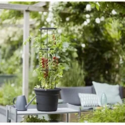 Elho Green Basics Tomaten Pot 33 - Bloempot Voor Buitenkweken En Oogsten - Ø 33.5 X H 26.0 Cm - Zwart/Living Black -Aanbiedingen Bloeiruimte Winkel 1200x817