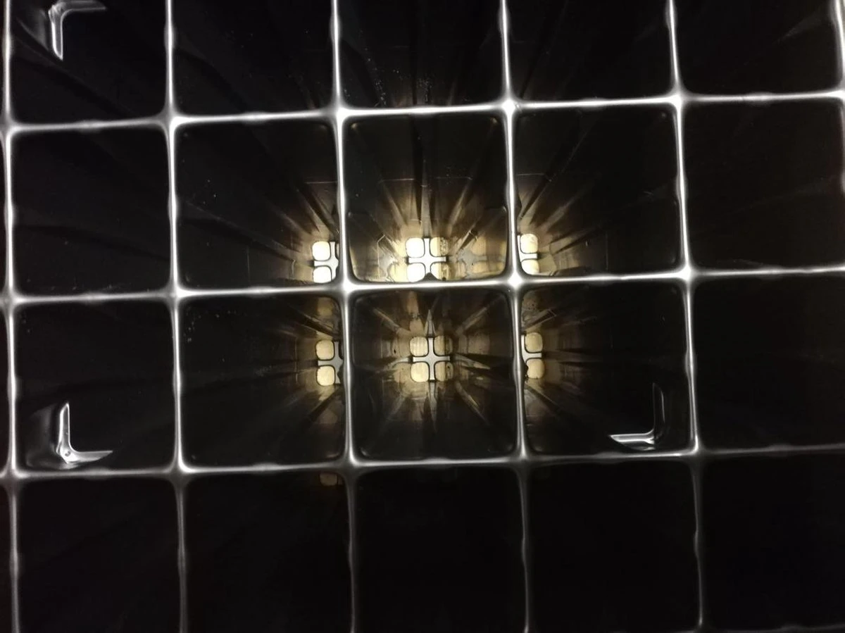 Merkloos 1 X Stevige DIEPE Zaaitray Hard Plastic - 60 Cellen (30x51 Cm)- ZEER DUURZAAM - Kweekbak Zaaibak Kweektray Stektray - 15 Cm Hoog 3 Merkloos 1 X Stevige DIEPE Zaaitray Hard Plastic - 60 Cellen (30x51 Cm)- ZEER DUURZAAM - Kweekbak Zaaibak Kweektray Stektray - 15 Cm Hoog - Afbeelding 3