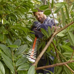 Black & Decker BLACK+DECKER BEHTS451-QS Heggenschaar - 550W - 60cm - Gesnoerd -Aanbiedingen Bloeiruimte Winkel 1200x900 11