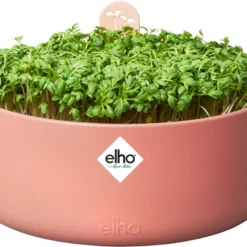 Elho Magic Microgreens 17 - Bloempot Voor Kiemgroenten - Ø 16.8 X H 7.1 Cm - Bruin/Toffee Terra -Aanbiedingen Bloeiruimte Winkel 1200x901