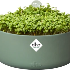 Elho Magic Microgreens 17 - Bloempot Voor Kiemgroenten - Ø 16.8 X H 7.1 Cm - Groen/Blad Groen -Aanbiedingen Bloeiruimte Winkel 1200x903