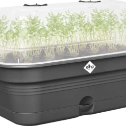 Elho Green Basics Kweektray Allin1 39 - Plantenbak Voor Kweken En Oogsten - Ø 39.0 X H 15.2 Cm - Zwart/Living Black -Aanbiedingen Bloeiruimte Winkel 1200x909