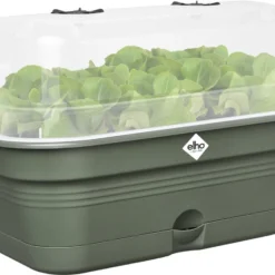 Elho Green Basics Kweektray Allin1 39 - Plantenbak Voor Kweken En Oogsten - Ø 39.0 X H 15.2 Cm - Groen/Blad Groen -Aanbiedingen Bloeiruimte Winkel 1200x911 1