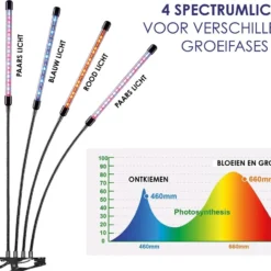 Forgoods Kweeklamp LED Full Spectrum - Groeilamp - 40 Watt - Automatische Timer 3-9-12 Uur - Inclusief Adapter -Aanbiedingen Bloeiruimte Winkel 1200x937