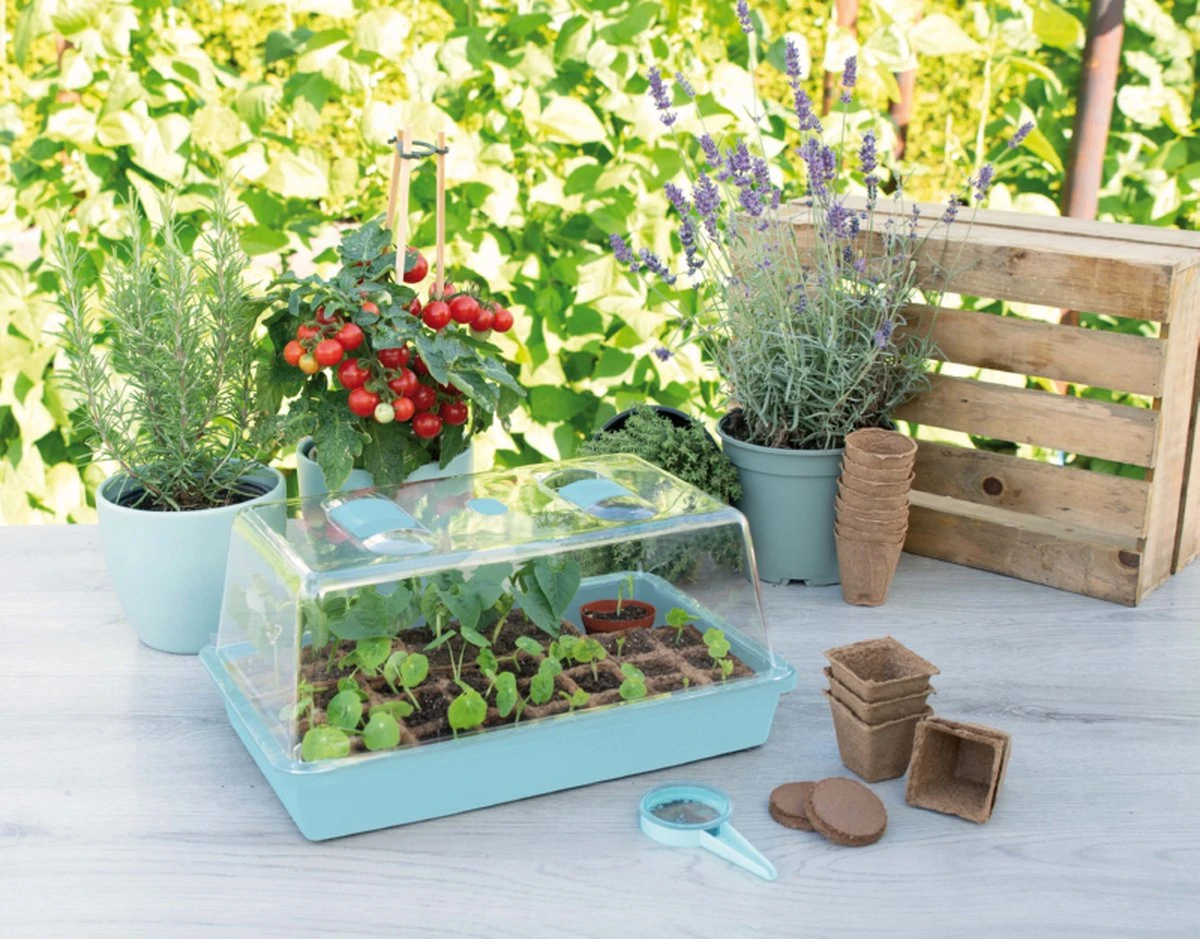 Synx Tools Kweekbak Kweekkastje Met Deksel 37,5 Cm - Tuinieren/Moestuinbak - Moestuin Artikelen - Tuin Benodigdheden - Vensterbank 1 Synx Tools Kweekbak Kweekkastje Met Deksel 37,5 Cm - Tuinieren/Moestuinbak - Moestuin Artikelen - Tuin Benodigdheden - Vensterbank