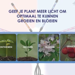 Forgoods Kweeklamp LED Full Spectrum - Groeilamp - 40 Watt - Automatische Timer 3-9-12 Uur - Inclusief Adapter -Aanbiedingen Bloeiruimte Winkel 1200x962 1