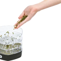 Mungo Antraciet - Kiemtoren Voor Zaden En Granen - Kiempot - Kiemzaden - Kiemschaaltje -Aanbiedingen Bloeiruimte Winkel 1200x981 1