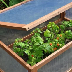 Royal Well Tuinkas Royal Well | Broeikas Sweet Tomato -Aanbiedingen Bloeiruimte Winkel 1200x988