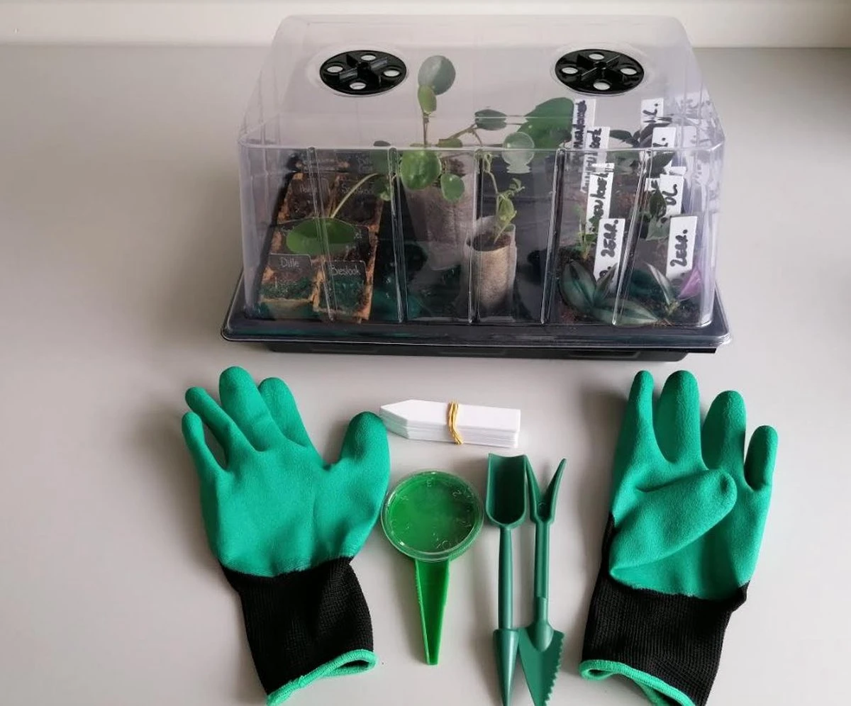 Kweekbak | Kweekkas | Kweekkas | Kweekkastje |Propagator| Broeikas | Mini Kas | Met Deksel | 20x24x37cm | Complete Kweekset | Binnen En Buiten | Startset 2 Kweekbak | Kweekkas | Kweekkas | Kweekkastje |Propagator| Broeikas | Mini Kas | Met Deksel | 20x24x37cm | Complete Kweekset | Binnen En Buiten | Startset - Afbeelding 2