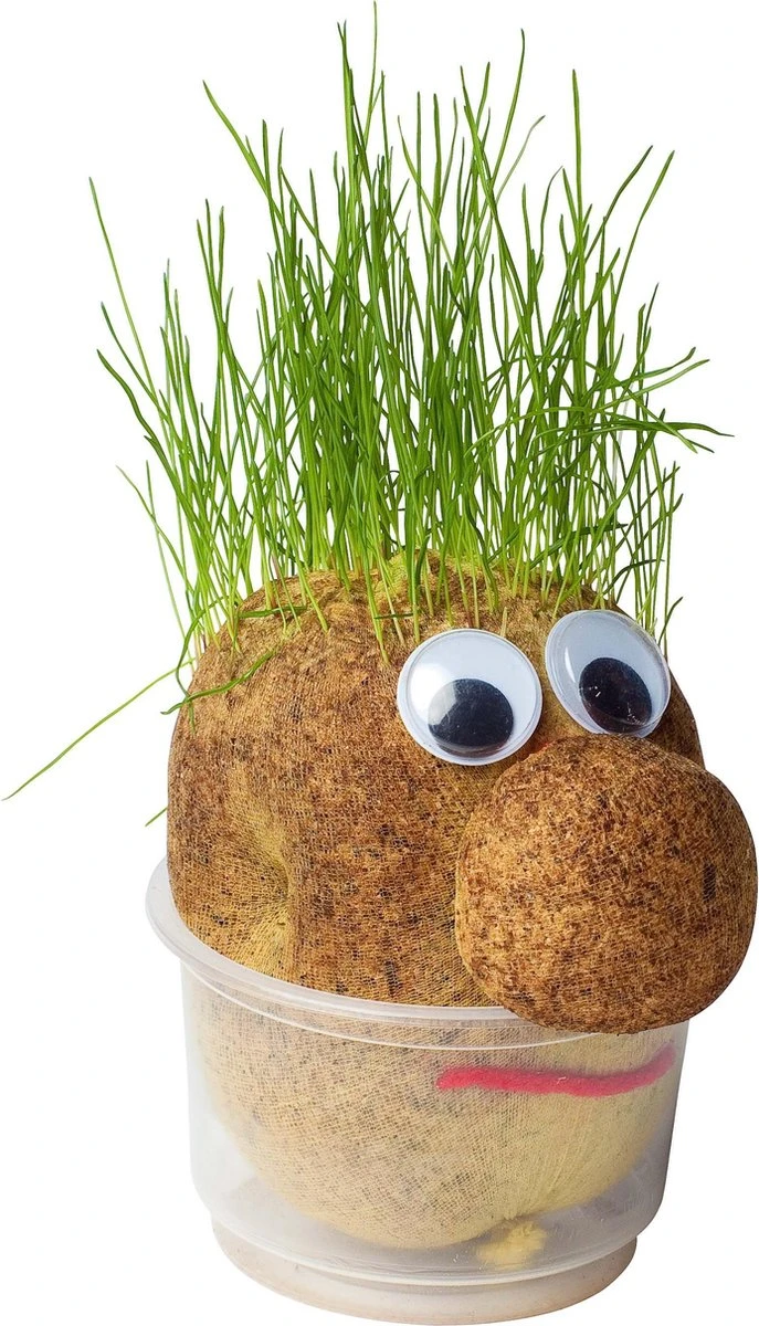 Mr. Bart | Graspop | Graspoppetje | Grow Your Own Gras | Wie Kent Hem Niet | Vensterbank | Graszaad | Cadeau | 2 Mr. Bart | Graspop | Graspoppetje | Grow Your Own Gras | Wie Kent Hem Niet | Vensterbank | Graszaad | Cadeau | - Afbeelding 2