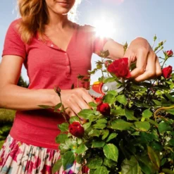 WOLF-Garten Snoeischaar "Premium Plus" RR 4000 - Max. Knipdiameter 22 Mm - Links- En Rechtshandige - Softinleg Handgreep - Snijhoek 30° - Voor Grote Handen - Vervangbare Messen -Aanbiedingen Bloeiruimte Winkel 799x1200 5