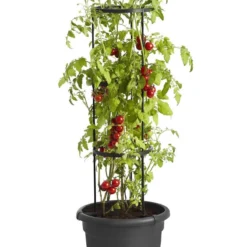 Elho Green Basics Tomaten Pot 33 - Bloempot Voor Buitenkweken En Oogsten - Ø 33.5 X H 26.0 Cm - Zwart/Living Black -Aanbiedingen Bloeiruimte Winkel 800x1200 12