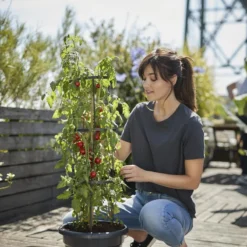 Elho Green Basics Tomaten Pot 33 - Bloempot Voor Buitenkweken En Oogsten - Ø 33.5 X H 26.0 Cm - Zwart/Living Black -Aanbiedingen Bloeiruimte Winkel 800x1200 13