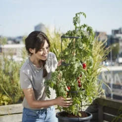 Elho Green Basics Tomaten Pot 33 - Bloempot Voor Buitenkweken En Oogsten - Ø 33.5 X H 26.0 Cm - Zwart/Living Black -Aanbiedingen Bloeiruimte Winkel 800x1200 14