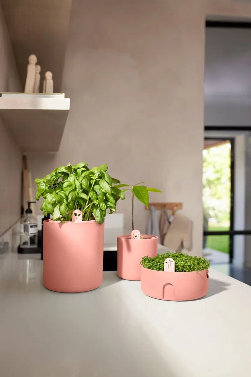 Elho Amazing Avocado Pot 12 - Kweekpot Voor Binnen - Moestuinbak Van 100% Gerecycled Plastic - Ø 12.0 X H 12.1 Cm - Bruin/Toffee Terra 7 Elho Amazing Avocado Pot 12 - Kweekpot Voor Binnen - Moestuinbak Van 100% Gerecycled Plastic - Ø 12.0 X H 12.1 Cm - Bruin/Toffee Terra - Afbeelding 7