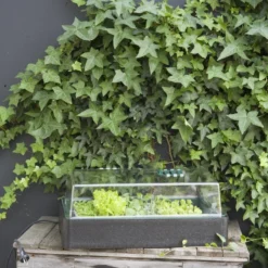 HGA Propagator 64/50 - Verwarmde Kweekbak Met Thermotimer En Thermometer -Aanbiedingen Bloeiruimte Winkel 800x1200 21