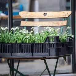 Aanbiedingen Bloeiruimte Winkel -Aanbiedingen Bloeiruimte Winkel 800x1200 23